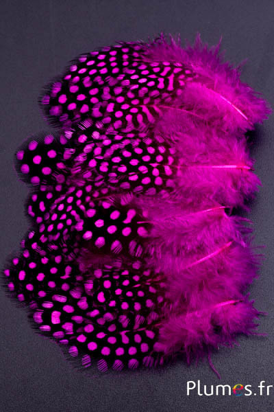 Pintade de Numidie - 3-6 cm - fuchsia